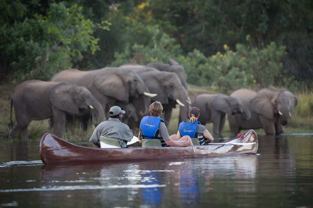 Canoeing past elephants on the Zambezi