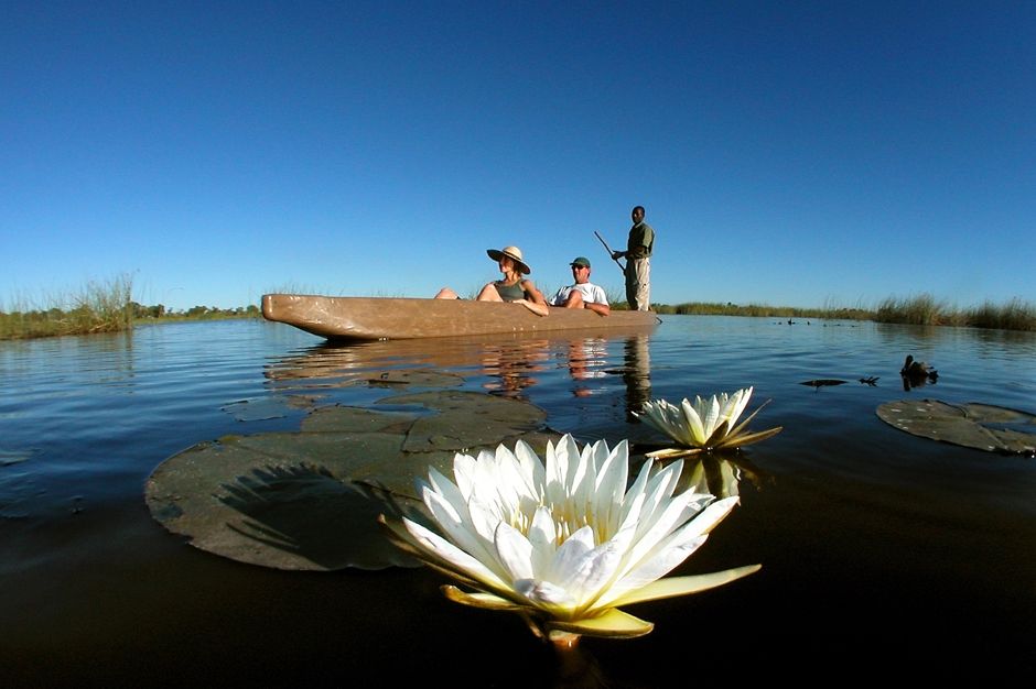 Mokoro gliding past a waterlily
