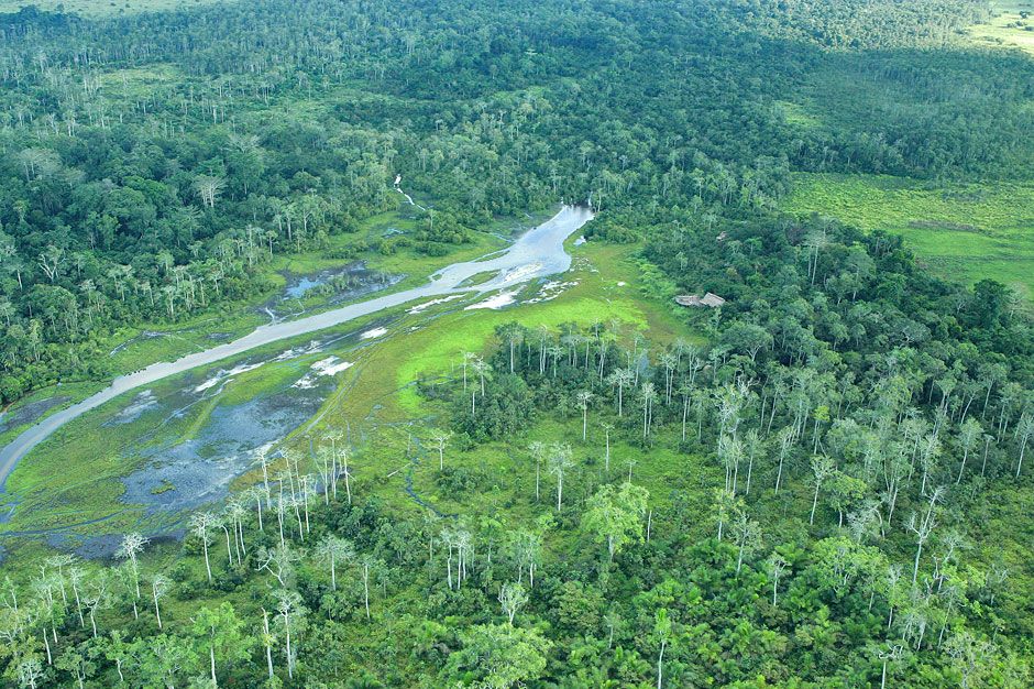 Rainforest and river from the air, Odzala