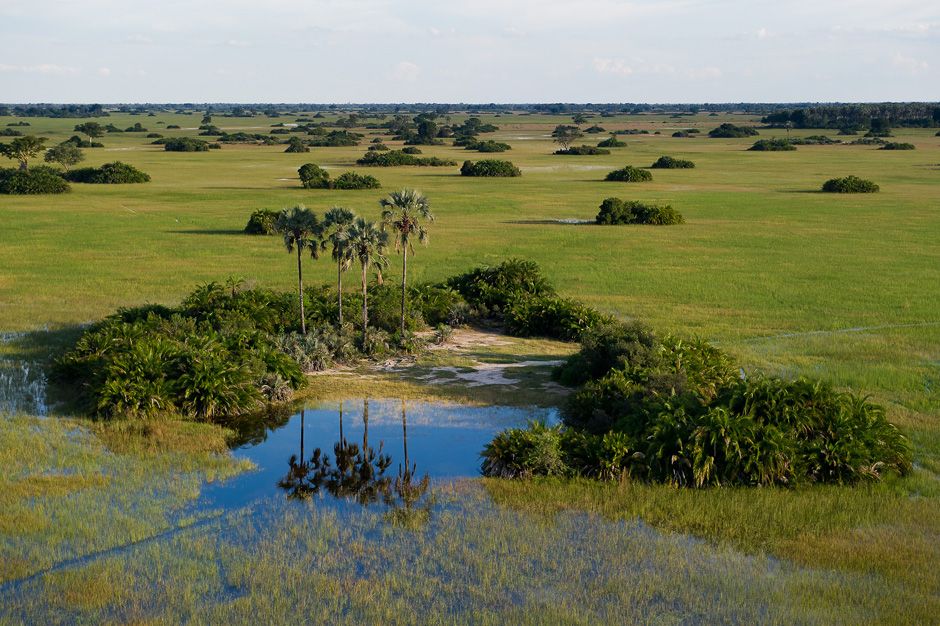The Okavango Delta from the air