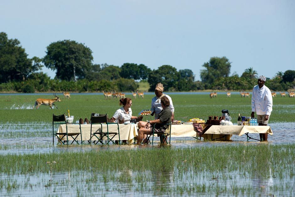 A champagne picnic on the floodplain